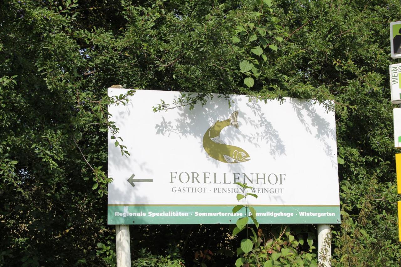Ferienwohnung Forellenhof Oberschwarzach Εξωτερικό φωτογραφία